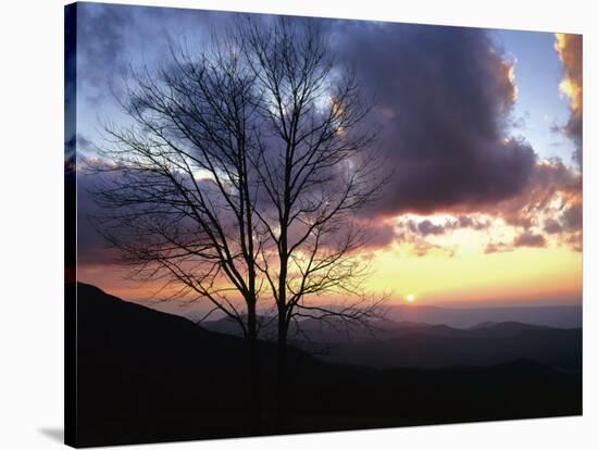 Sunset in Blue Ridge Mountains, Shenandoah National Park, Virginia, USA-Charles Gurche-Stretched Canvas