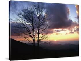 Sunset in Blue Ridge Mountains, Shenandoah National Park, Virginia, USA-Charles Gurche-Stretched Canvas