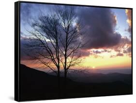 Sunset in Blue Ridge Mountains, Shenandoah National Park, Virginia, USA-Charles Gurche-Framed Stretched Canvas