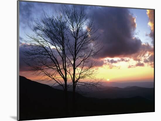 Sunset in Blue Ridge Mountains, Shenandoah National Park, Virginia, USA-Charles Gurche-Mounted Premium Photographic Print