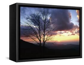 Sunset in Blue Ridge Mountains, Shenandoah National Park, Virginia, USA-Charles Gurche-Framed Stretched Canvas