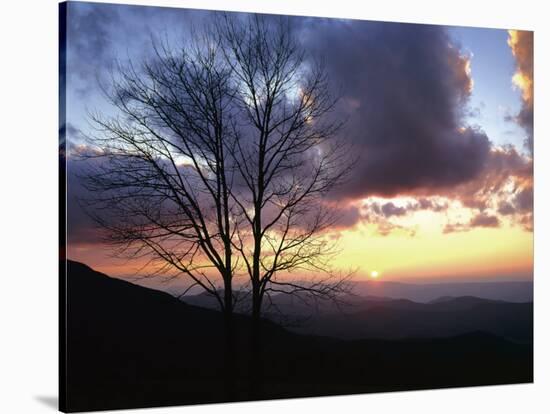 Sunset in Blue Ridge Mountains, Shenandoah National Park, Virginia, USA-Charles Gurche-Stretched Canvas