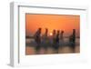 Sunset in Camargue-Rostovskiy Anton-Framed Photographic Print