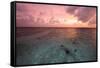 Sunset in Filiteyo, Maldives-Fran?oise Gaujour-Framed Stretched Canvas