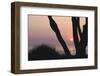 Sunset in Front of the Western Beach of Darss-Uwe Steffens-Framed Photographic Print