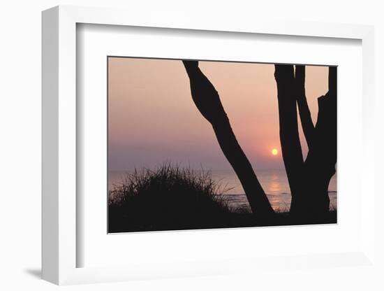 Sunset in Front of the Western Beach of Darss-Uwe Steffens-Framed Photographic Print