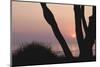 Sunset in Front of the Western Beach of Darss-Uwe Steffens-Mounted Photographic Print