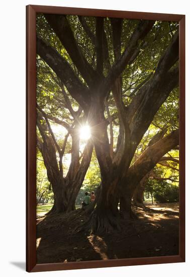 Sunset in Ibirapuera Park with People Resting on a Tree-Alex Saberi-Framed Photographic Print