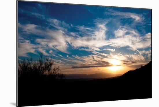 Sunset in Joshua Tree I-Erin Berzel-Mounted Photographic Print