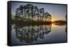 Sunset in Long Pine Area of Everglades NP-Terry Eggers-Framed Stretched Canvas