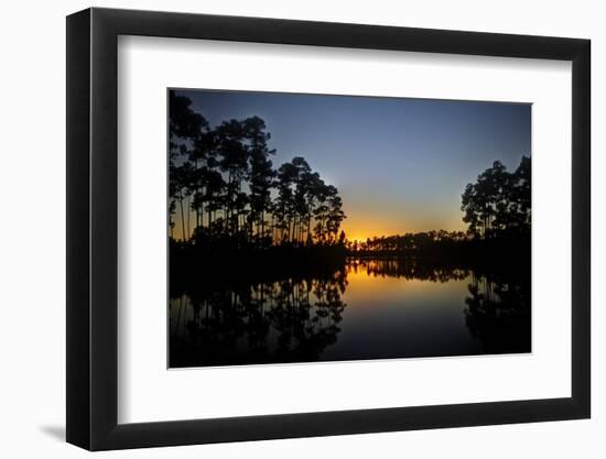 Sunset in Long Pine Area of Everglades NP-Terry Eggers-Framed Photographic Print