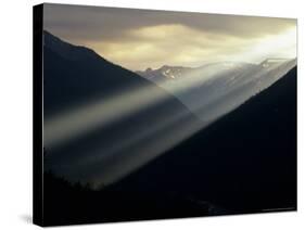 Sunset in Mt. Rainier National Park, Washington, USA-Jerry Ginsberg-Stretched Canvas