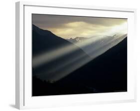 Sunset in Mt. Rainier National Park, Washington, USA-Jerry Ginsberg-Framed Photographic Print