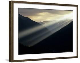 Sunset in Mt. Rainier National Park, Washington, USA-Jerry Ginsberg-Framed Photographic Print