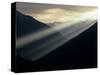 Sunset in Mt. Rainier National Park, Washington, USA-Jerry Ginsberg-Stretched Canvas