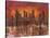 Sunset in New York-Luigi Florio-Stretched Canvas