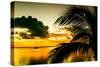 Sunset in Paradise - Florida-Philippe Hugonnard-Stretched Canvas