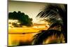 Sunset in Paradise - Florida-Philippe Hugonnard-Mounted Photographic Print