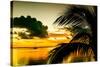 Sunset in Paradise - Florida-Philippe Hugonnard-Stretched Canvas