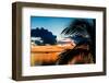 Sunset in Paradise - Florida-Philippe Hugonnard-Framed Premium Photographic Print