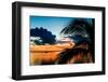 Sunset in Paradise - Florida-Philippe Hugonnard-Framed Premium Photographic Print