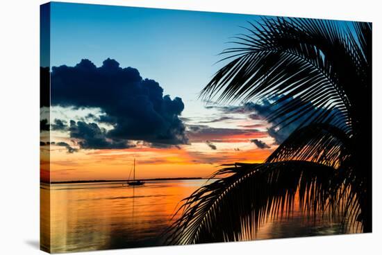 Sunset in Paradise - Florida-Philippe Hugonnard-Stretched Canvas