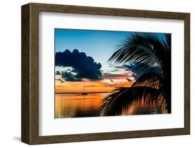 Sunset in Paradise - Florida-Philippe Hugonnard-Framed Photographic Print