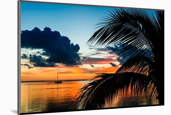 Sunset in Paradise - Florida-Philippe Hugonnard-Mounted Photographic Print