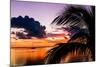 Sunset in Paradise - Florida-Philippe Hugonnard-Mounted Photographic Print