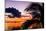 Sunset in Paradise - Florida-Philippe Hugonnard-Mounted Photographic Print