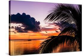 Sunset in Paradise - Florida-Philippe Hugonnard-Stretched Canvas