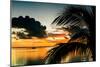 Sunset in Paradise - Florida-Philippe Hugonnard-Mounted Photographic Print