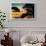 Sunset in Paradise - Florida-Philippe Hugonnard-Framed Photographic Print displayed on a wall