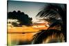 Sunset in Paradise - Florida-Philippe Hugonnard-Stretched Canvas