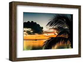 Sunset in Paradise - Florida-Philippe Hugonnard-Framed Photographic Print