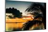 Sunset in Paradise - Florida-Philippe Hugonnard-Mounted Photographic Print