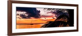 Sunset in Paradise - Florida-Philippe Hugonnard-Framed Photographic Print