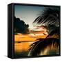 Sunset in Paradise - Florida-Philippe Hugonnard-Framed Stretched Canvas