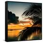 Sunset in Paradise - Florida-Philippe Hugonnard-Framed Stretched Canvas