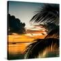 Sunset in Paradise - Florida-Philippe Hugonnard-Stretched Canvas