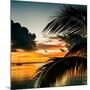 Sunset in Paradise - Florida-Philippe Hugonnard-Mounted Photographic Print