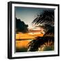 Sunset in Paradise - Florida-Philippe Hugonnard-Framed Photographic Print