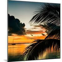 Sunset in Paradise - Florida-Philippe Hugonnard-Mounted Photographic Print