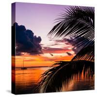 Sunset in Paradise - Florida-Philippe Hugonnard-Stretched Canvas
