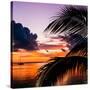 Sunset in Paradise - Florida-Philippe Hugonnard-Stretched Canvas