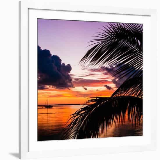 Sunset in Paradise - Florida-Philippe Hugonnard-Framed Photographic Print