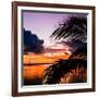 Sunset in Paradise - Florida-Philippe Hugonnard-Framed Photographic Print