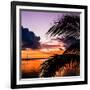 Sunset in Paradise - Florida-Philippe Hugonnard-Framed Photographic Print