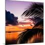 Sunset in Paradise - Florida-Philippe Hugonnard-Mounted Photographic Print