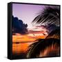 Sunset in Paradise - Florida-Philippe Hugonnard-Framed Stretched Canvas